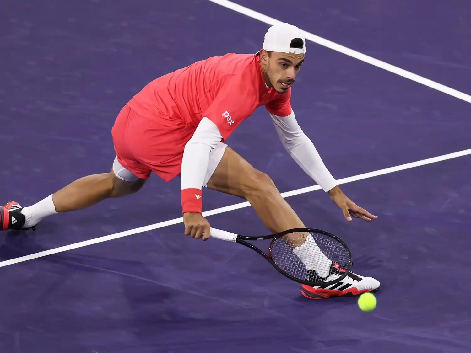 Francisco Cerúndolo, el mejor argentino.