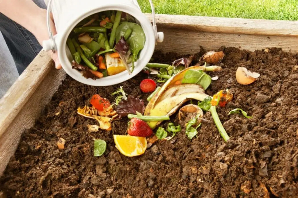 Se realizó un taller de huerta, frutales y compostaje