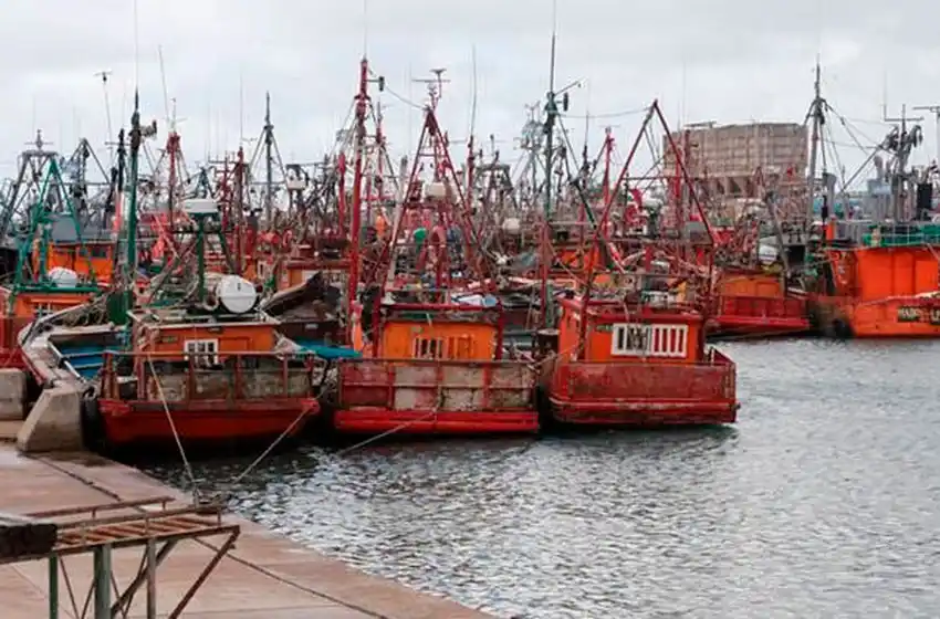 Puerto: instrumentan testeos rápidos de coronavirus a pie de muelle