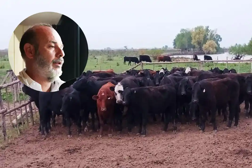 abigeato vacas robadas leo demolis