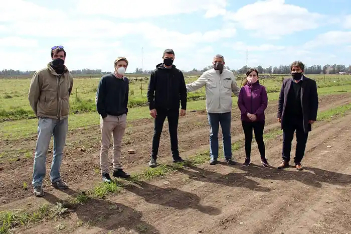 Realizan tareas de forestación en la calle Raggio de Lobería