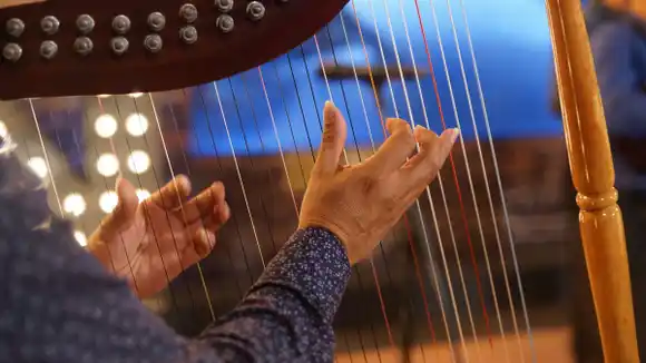 Joropo: patrimonio colombo-venezolano que provocó discusión