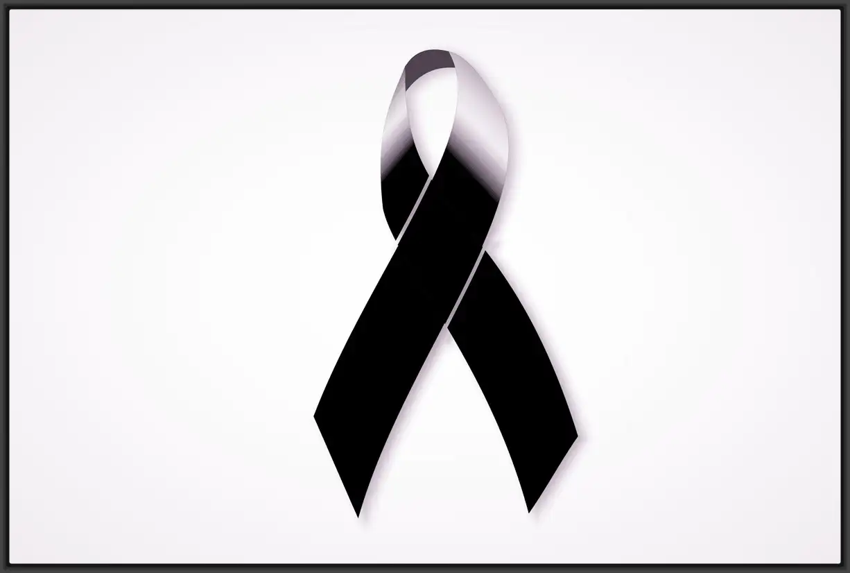 Tragedia en Mendoza: volcó un micro y murieron 12 personas