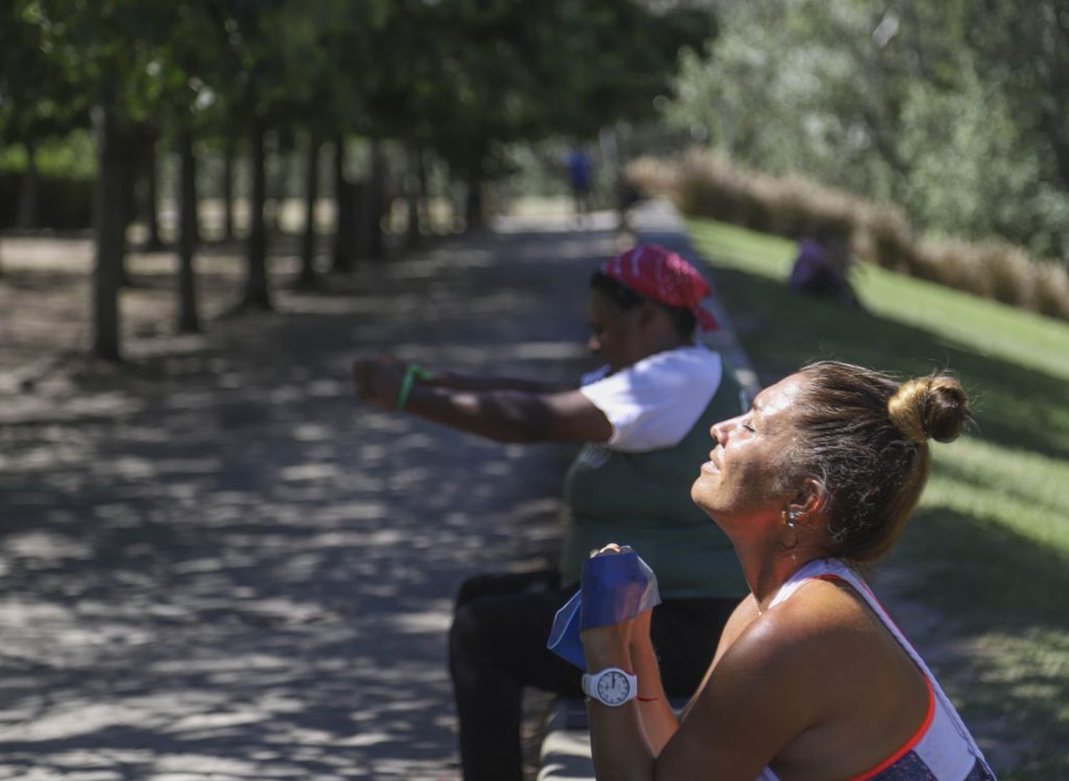 Advirtieron por ola de calor en el centro y el norte del país