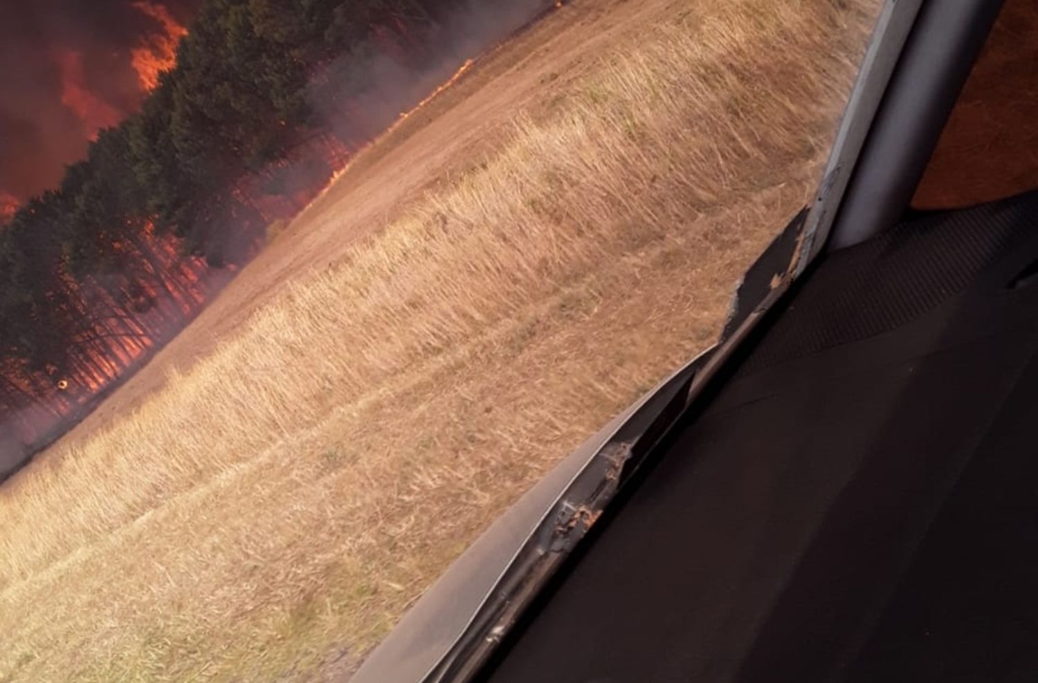 Miramar: combaten incendio forestal en el camino a Mar del Sud