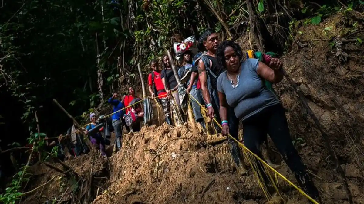 BAJA EL FLUJO DE MIGRANTES por el Darién: Panamá ha cerrado casi 5 kilómetros de trochas