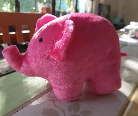 Nancy encontró este peluche