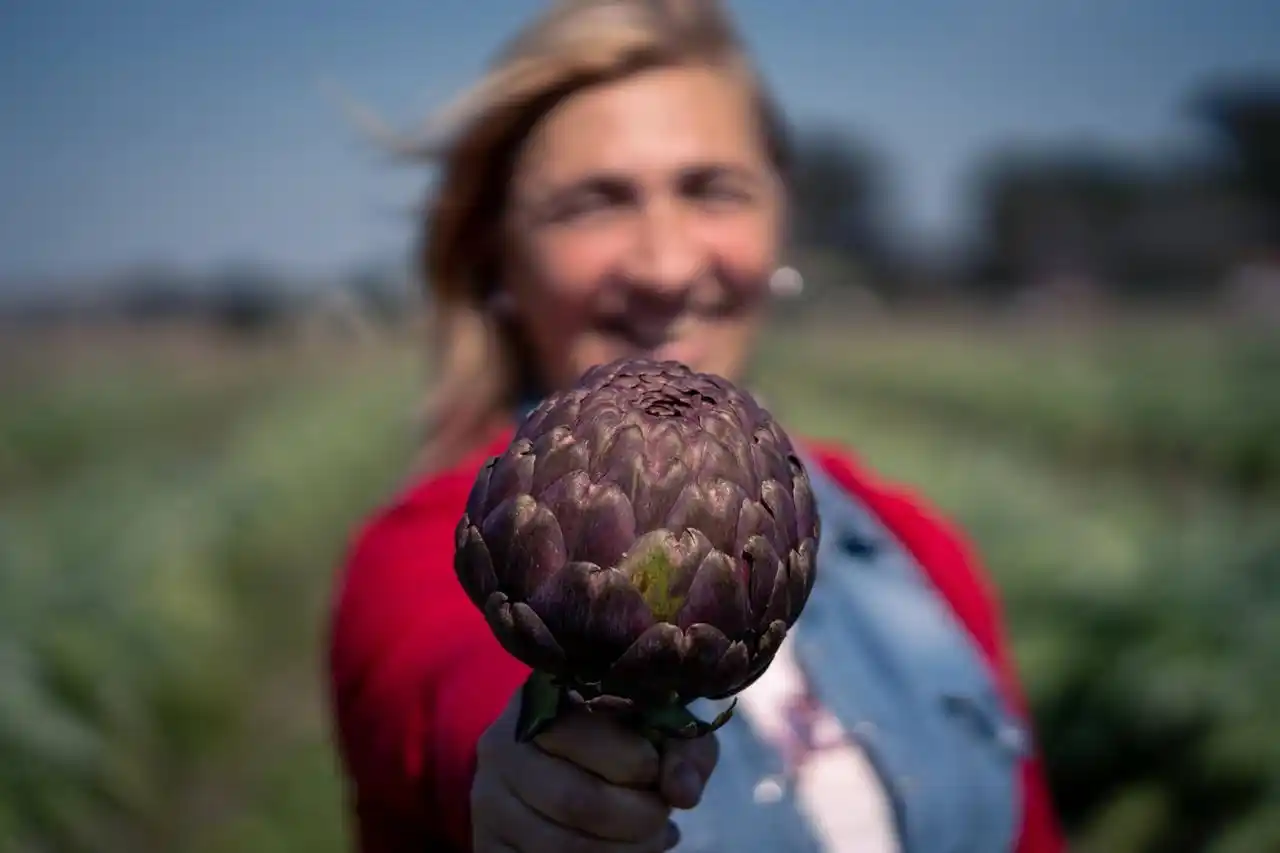 En La Plata hay fiesta del Alcaucil