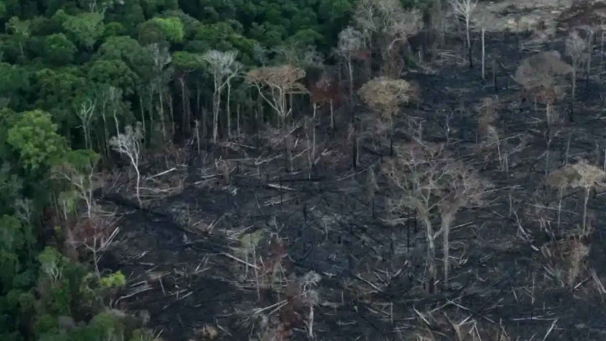 La Amazonía brasileña sufre un nuevo y aterrador récord histórico en deforestación