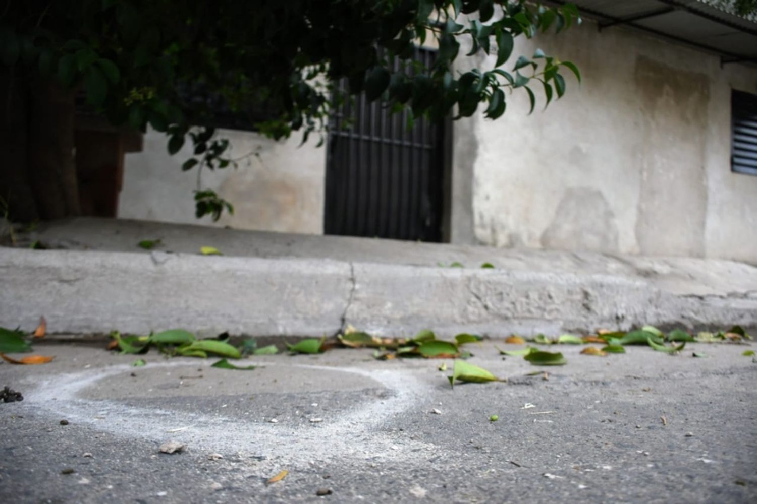 Crimen en zona norte: asesinaron a un hombre en una balacera