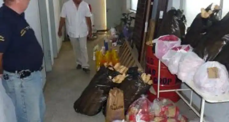 Trabajadores esclavos: Nuevo allanamiento en un campo de la zona