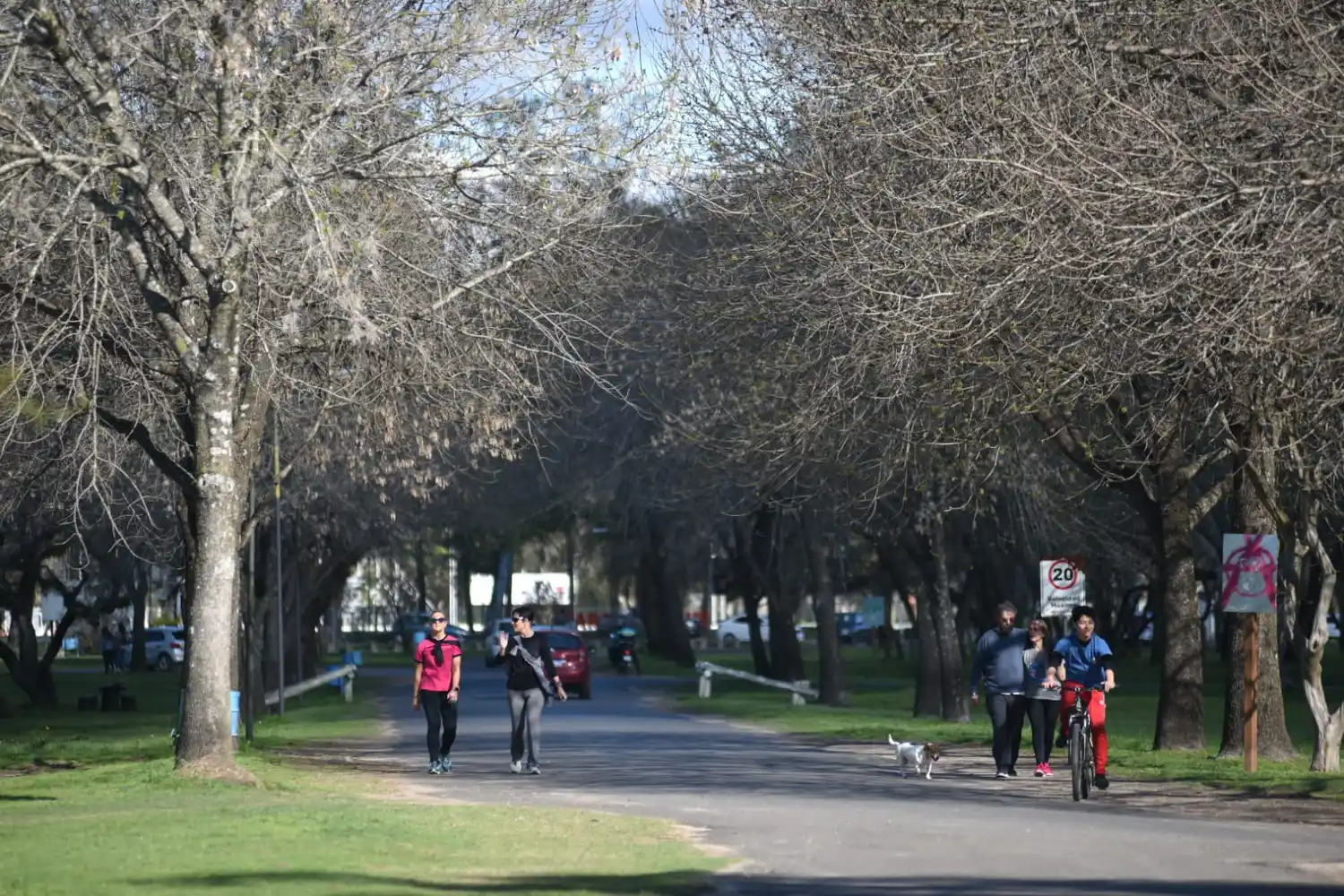 Comenzó el finde a pleno sol en Gualeguaychú: Cómo estará mañana para ir a votar
