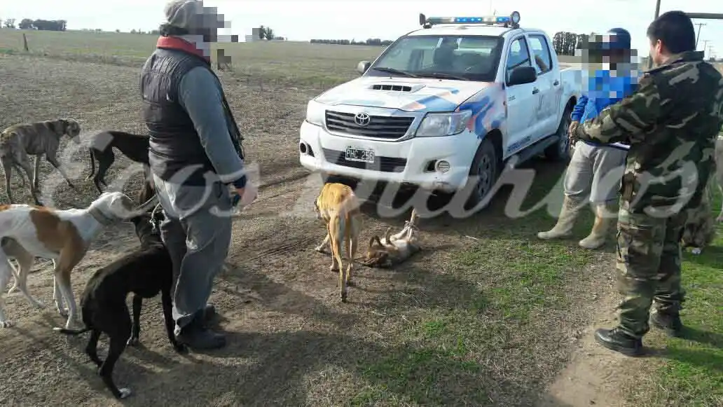 Aprehenden a cazadores con galgos