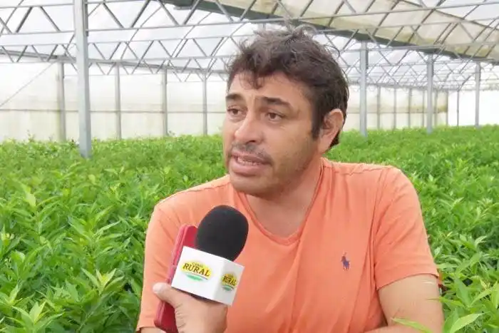 Buenas y malas en los  planes de lucha sanitaria  de la citricultura