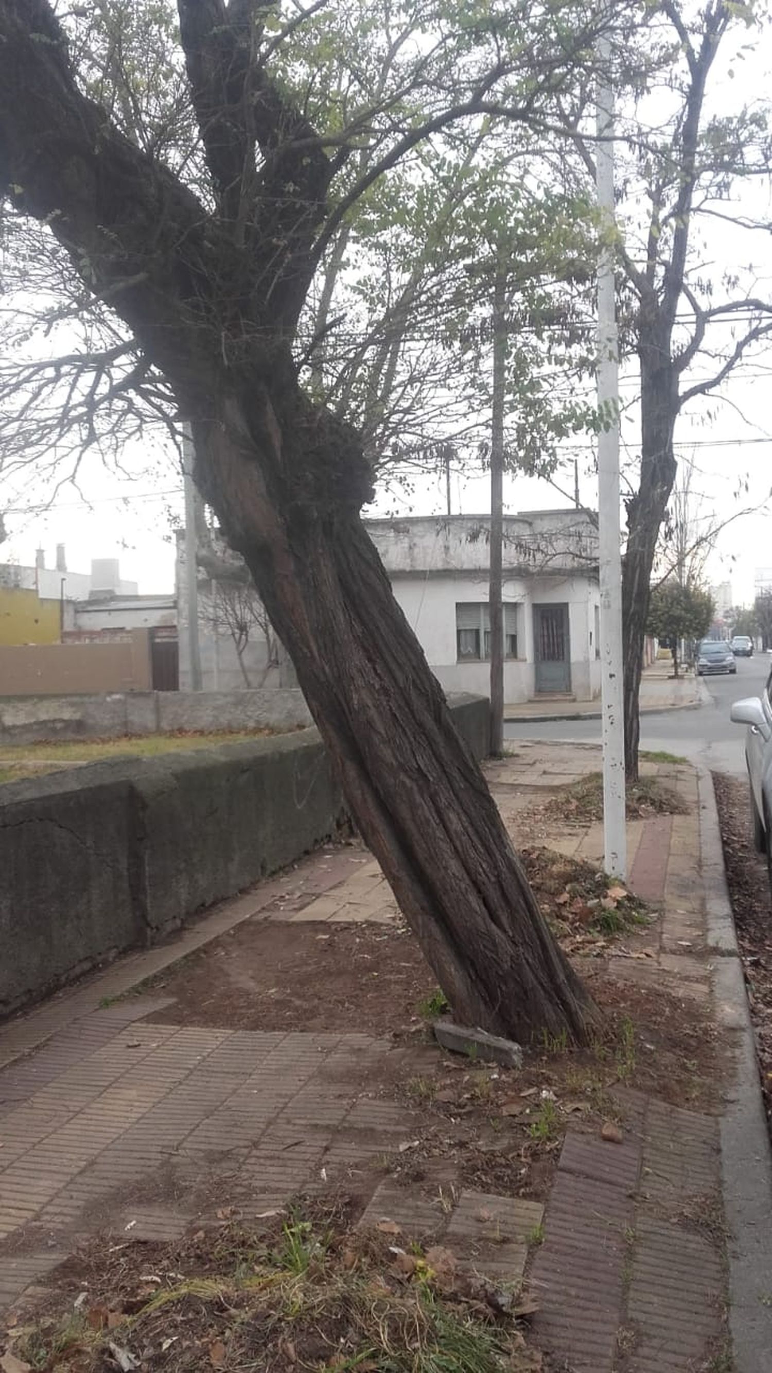 No se queje si no se queja