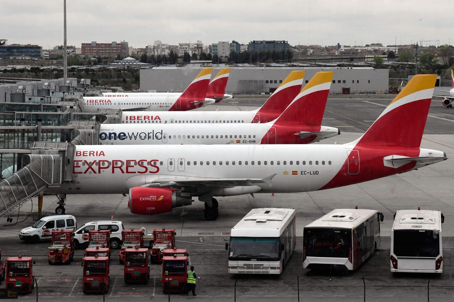 Esperanzada en la temporada invernal de Europa, el grupo Iberia apuesta a la recuperación en los próximos meses