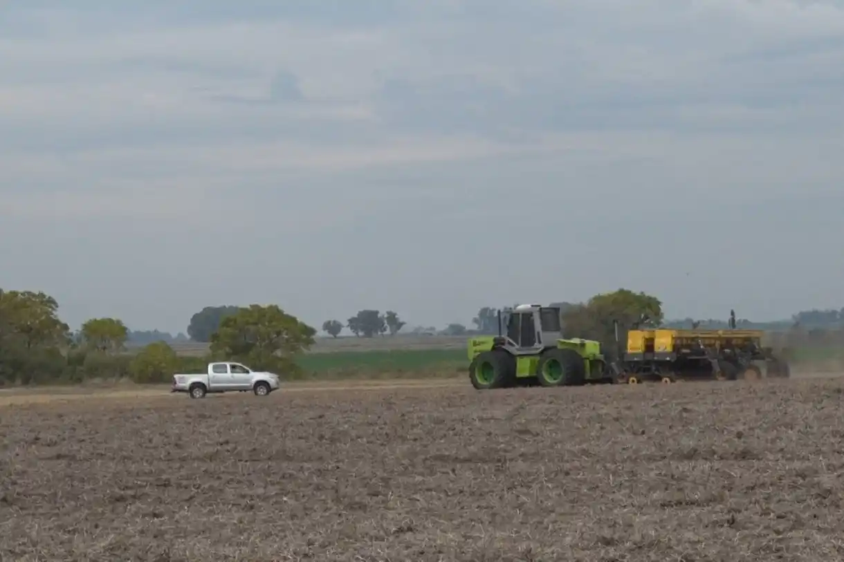 Bahillo se mostró optimista sobre la campaña de siembra de trigo en Entre Ríos