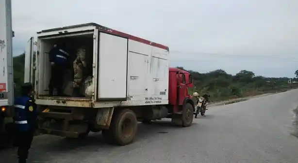 Transbordaban 1400 kilos de sábalos en plena ruta 12 y fueron secuestrados