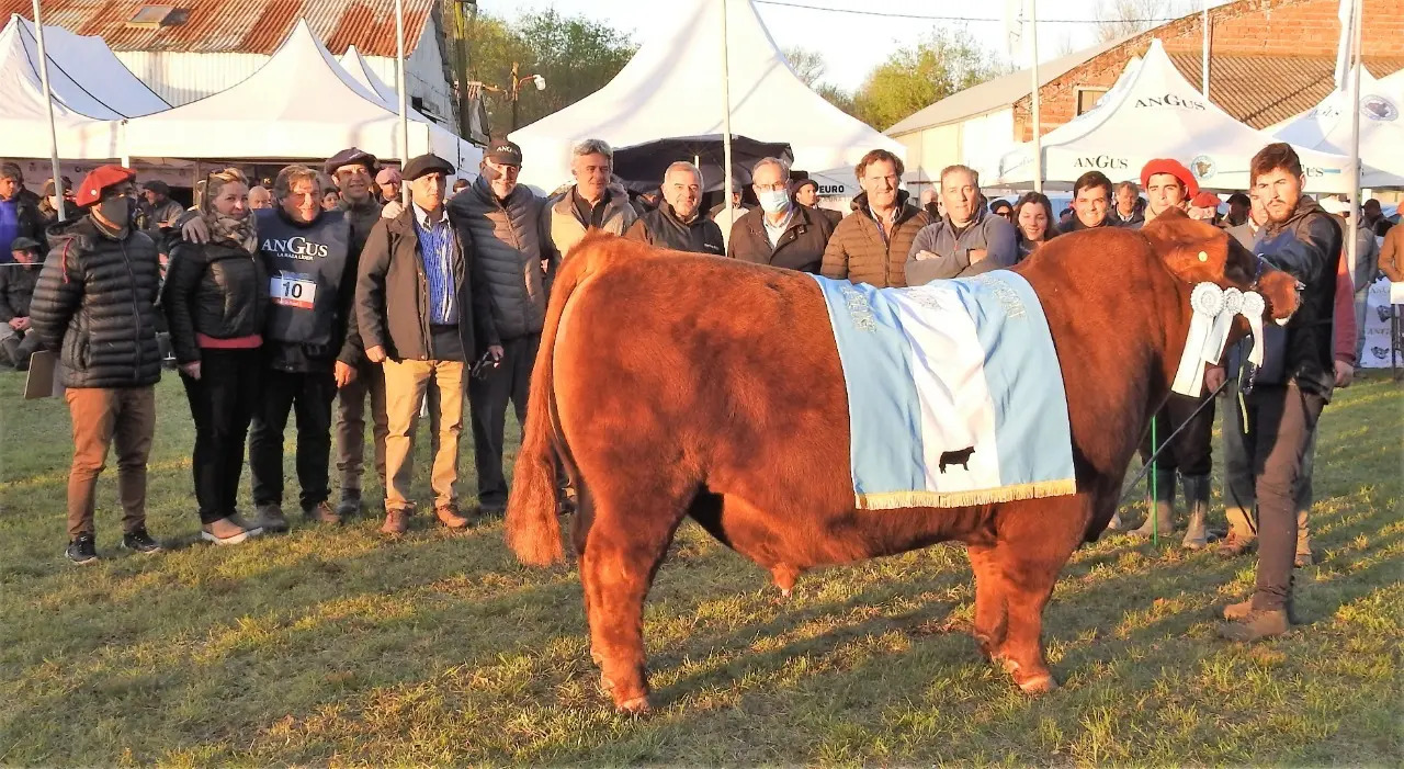 Santa Rosa y Don José, dueños de la Primavera de Angus