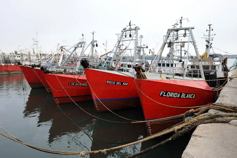 Distintos sectores advirtieron que la medida favorecía a la pesca congeladora en detrimento de la industria procesadora en tierra.