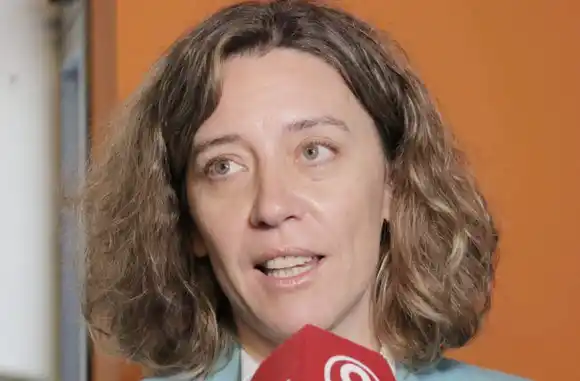 Goyeneche pagó $ 300 mil para que la Corte analice su destitución