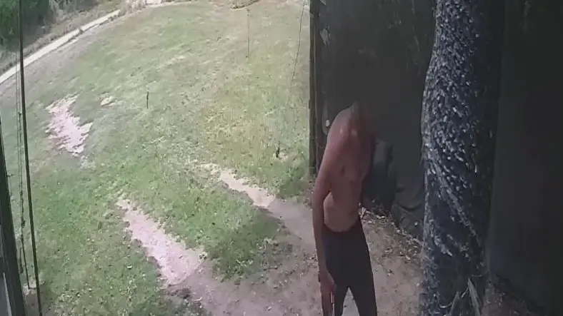 Capturas de cámaras de seguridad
