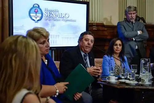 De Angeli presidirá la comisión de Agricultura en el Senado