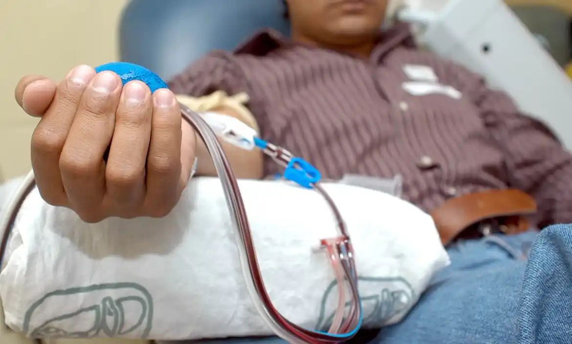 Cada día se realizan unas 700 transfusiones de sangre en la provincia