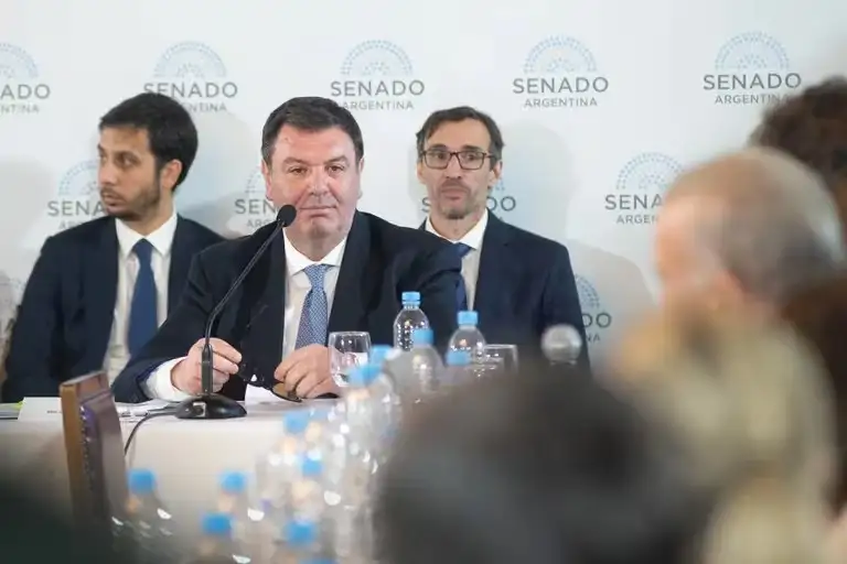 Lijo argumentó su postulación al máximo tribunal de Justicia del país.