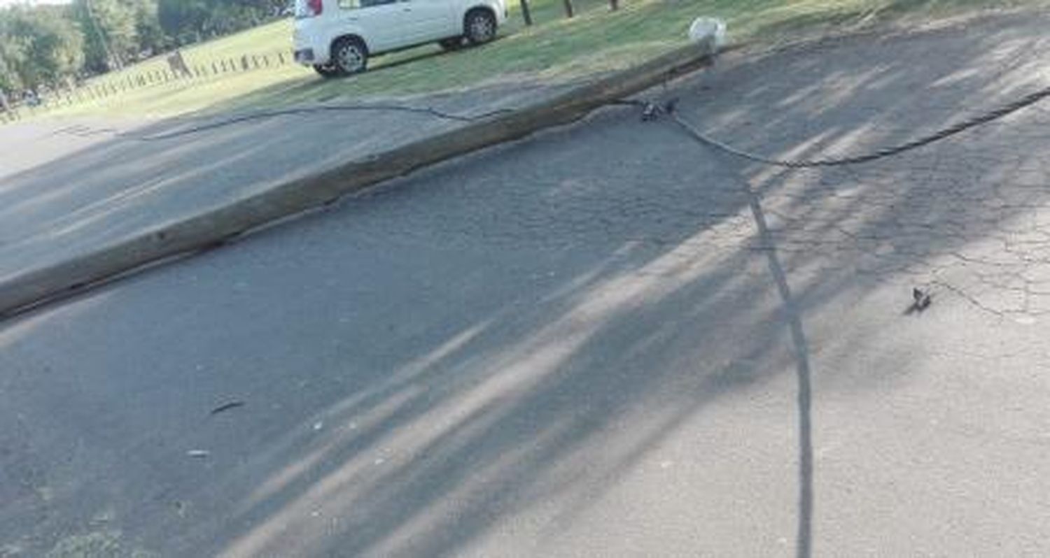 Cayó un poste en el Paseo Público