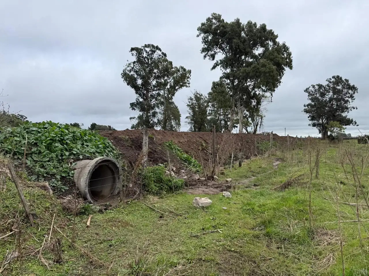 Arriba, el loteo, con su caño de desagüe. Abajo, el terreno lindero a los vecinos de calle Los Huesos.