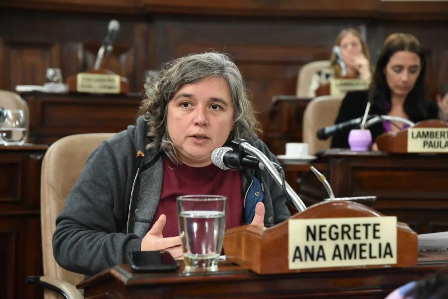 Ana Negrete, presidenta del bloque FdT en el Concejo Deliberante de La Plata.