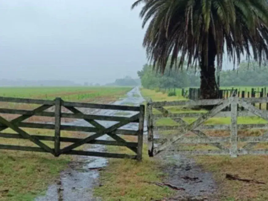 Las lluvias superaron las expectativas en el sur. En el centro-norte se agrava la sequía. Foto: José Antonio Álvarez