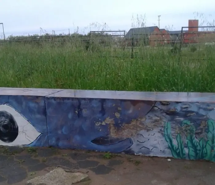 Abandono