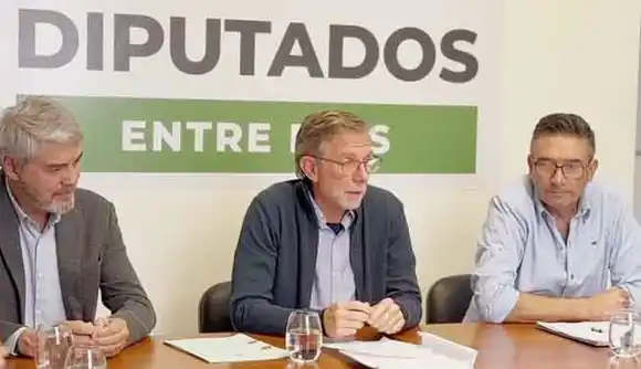 Continuó el tratamiento del proyecto de promoción de la bioenergía