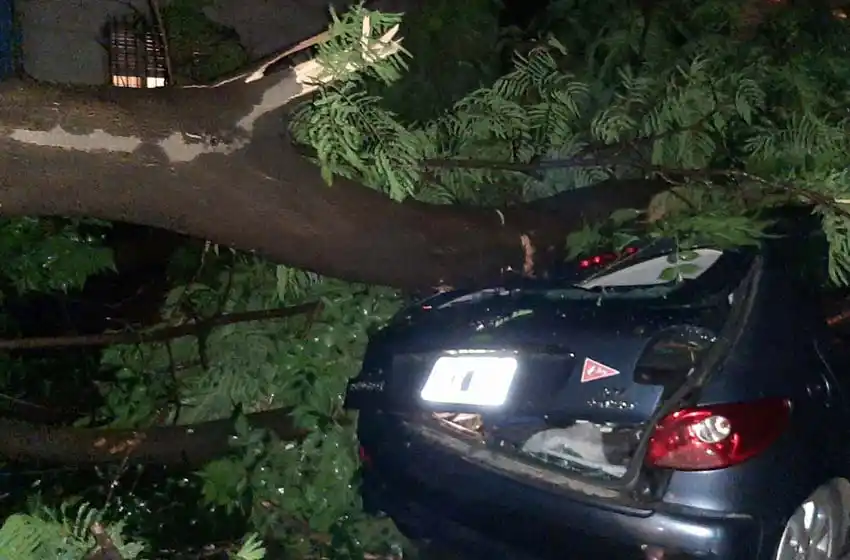 Fuerte temporal en la ciudad: árboles caídos, autos destrozados, cortes de luz y vientos huracanadas