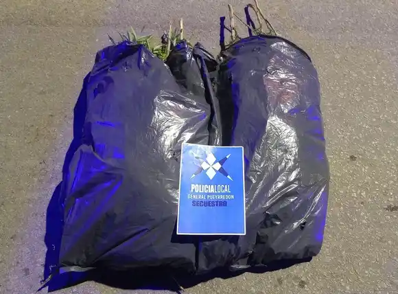 Caminaba por el barrio Malvinas Argentinas con casi 5 kilos de cannabis