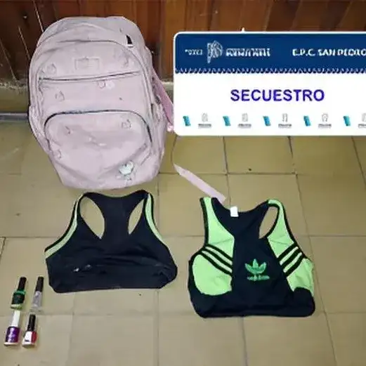 Ingresó a la vivienda de su expareja y robó elementos