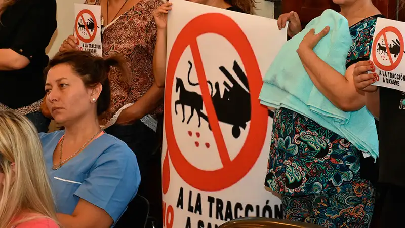 Cuál es el espíritu de la ordenanza sobre tracción a sangre que sancionó el Concejo Deliberante