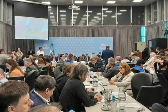 Patricia Bullrich defendió ante diputados el presupuesto para seguridad