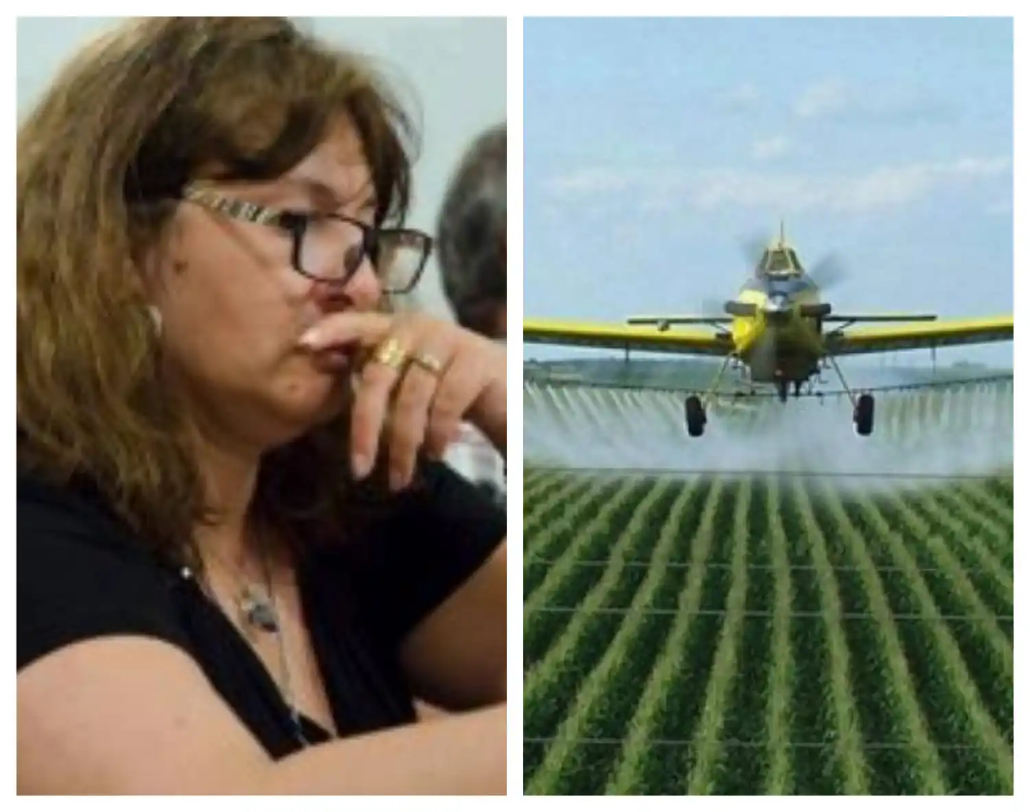 Exigen al intendente de Lincoln que haga “aplicable” la ordenanza que regula el uso de agroquímicos