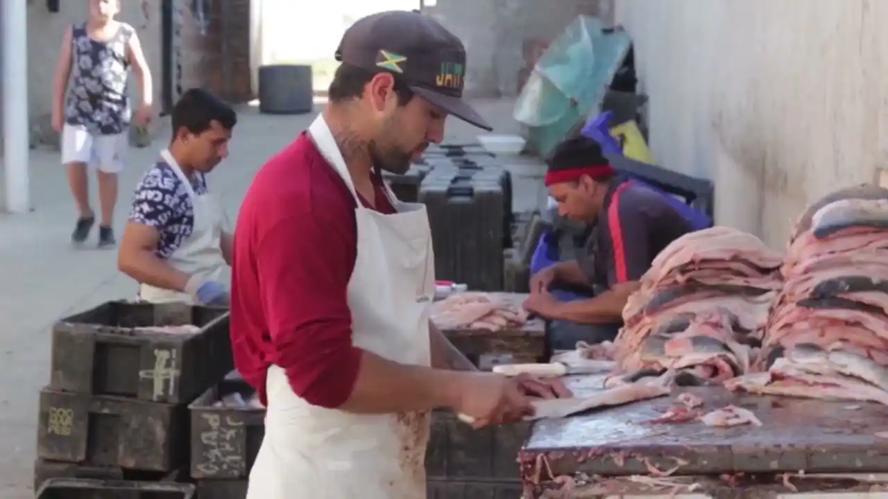Santa Fe: pescadores solicitan una reunión con la ministra de Ambiente por la bajante y la veda
