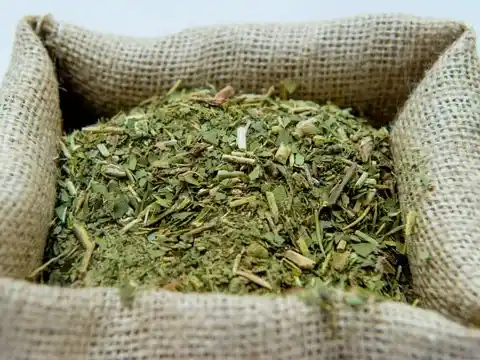 La cosecha de yerba mate cayó más del 30% en el primer trimestre del año