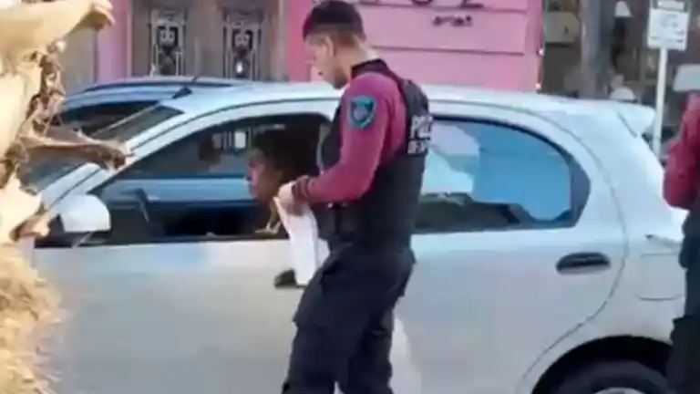 Ernestina Pais chocó a un auto, intentó escapar y la frenó la policía