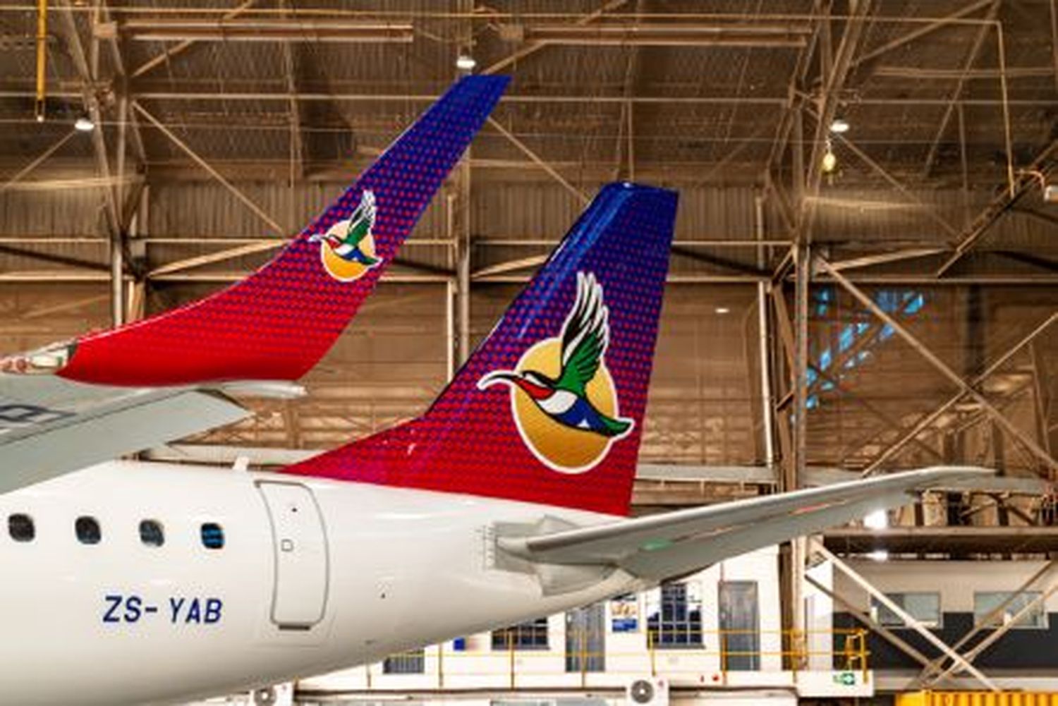 Airlink, subsidiaria de South African Airways, presenta un nuevo livery