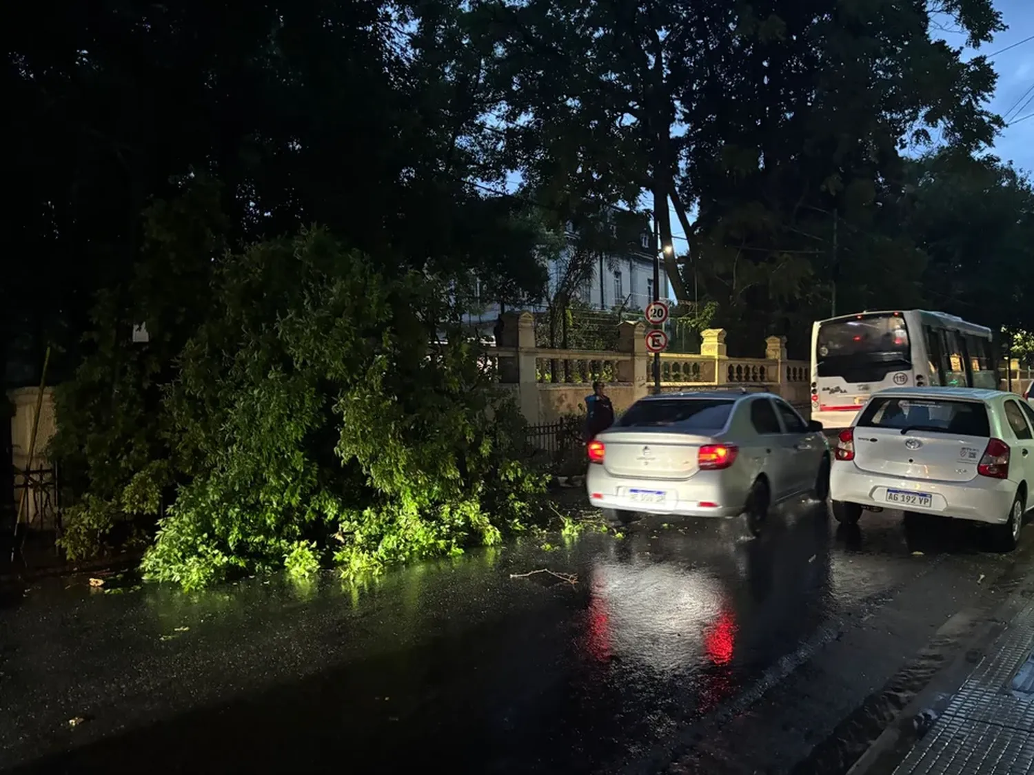 Las tormentas llegaron a Buenos Aires: un temporal en AMBA dejó usuarios sin luz, voladuras de techos y árboles caídos