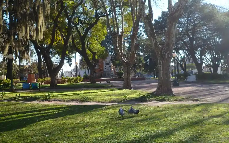 Mini primavera en pleno invierno