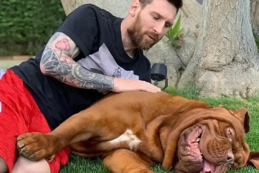 Qué pasó con Hulk, el perro de Lionel Messi