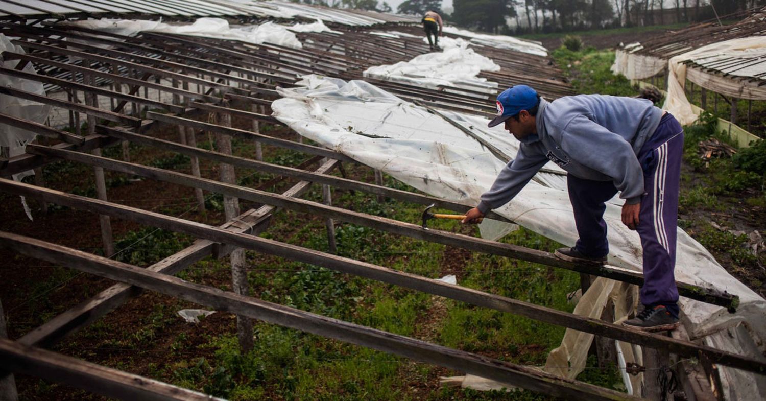 A dos meses del temporal, frutihortícolas esperan los créditos prometidos