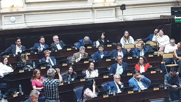 Castello: "¿Qué hace Kicillof para revertir los problemas de la Provincia? Destinar 1,7 billones en políticas de género"